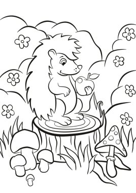 Küçük sevimli kirpi kütük üzerinde oturur