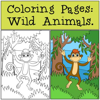 Küçük sevimli maymun çalışır ve gülümsüyor.