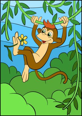 Küçük sevimli maymun liana üzerinde asılı ve bir çiçek tutan.