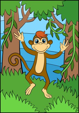 Küçük sevimli maymun çalışır ve ormanda gülümsüyor.