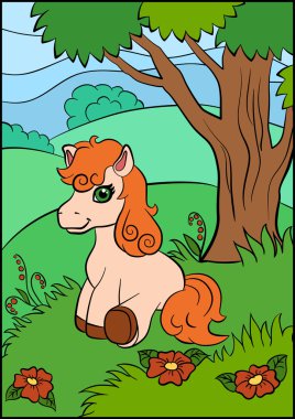 Ağaç yakınındaki ormanda küçük sevimli midilli oturur.