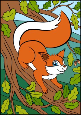 Renkli resimler: hayvanlar. Küçük sevimli sincap bunc üzerinde duruyor