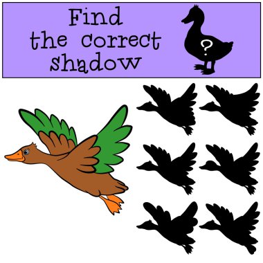 Küçük sevimli ördek flys ve gülümsüyor.