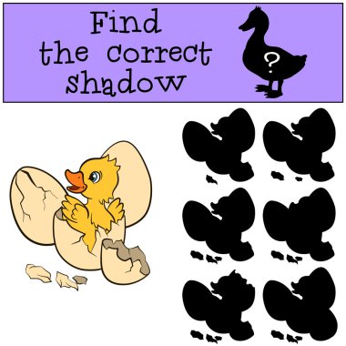 Küçük sevimli ördek yavrusu yumurta.