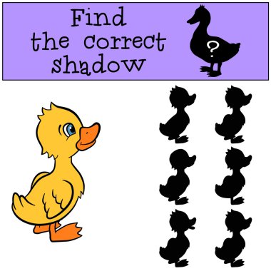 Küçük sevimli ördek yavrusu gülümsüyor.