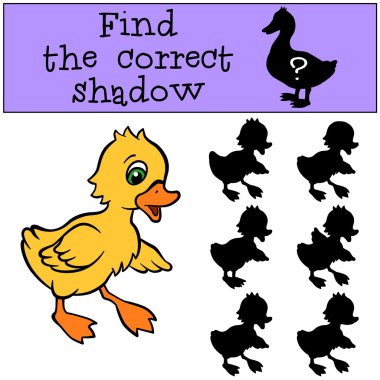 küçük sevimli ördek yavrusu.