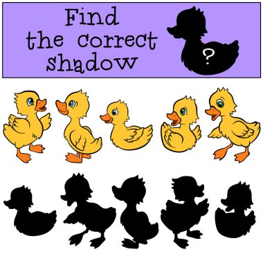 Doğru gölge bulmak. Küçük sevimli ördek yavrusu.