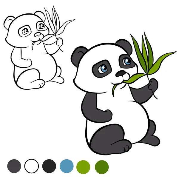 Little cute panda sits and eats leaves. It`s happy. — Stock Vector