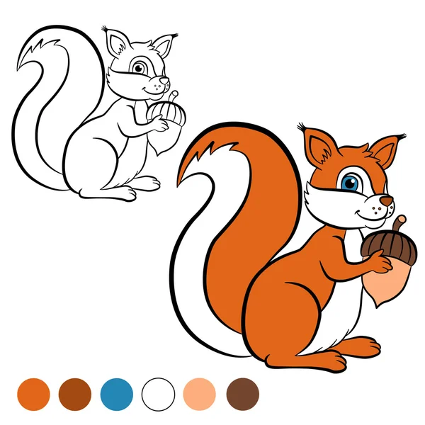Petit écureuil mignon se tient et tient un gland dans les mains — Image vectorielle