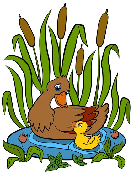 母カモが泳ぐ池の彼女小さなかわいいアヒルの子と。笑顔でいると幸せ. — ストックベクタ