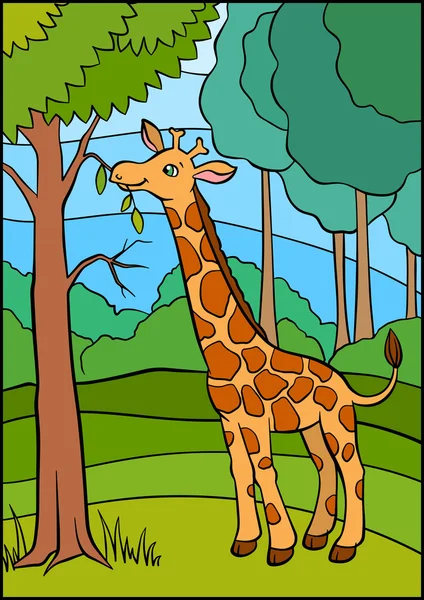 Cute kind giraffe eats leaves in the forest. — Stock Vector