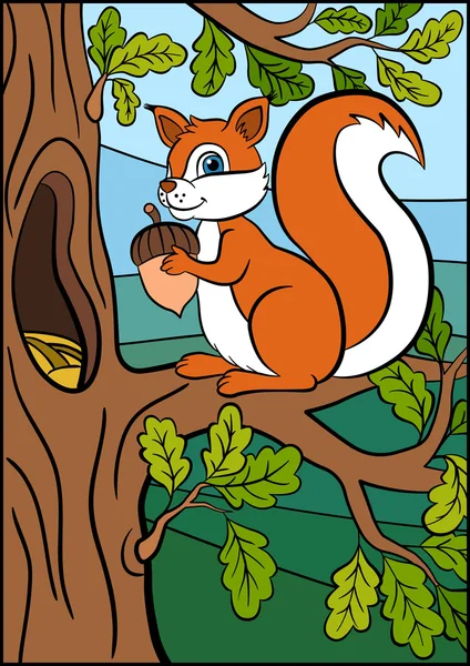 Kleine schattige eekhoorn staat op de eiken bos en in het bezit van een eikel in haar handen — Stockvector