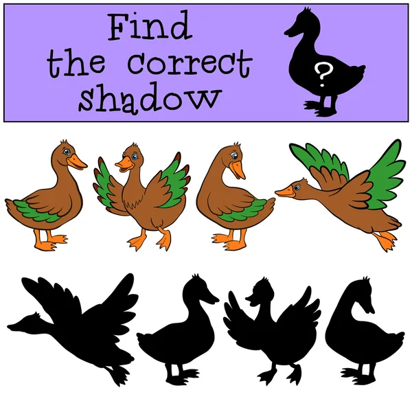 Trouvez la bonne ombre. Canards . — Image vectorielle