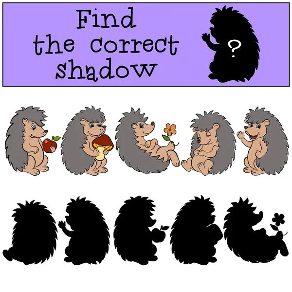 Encuentra la sombra correcta. Hedgehog . — Vector de stock