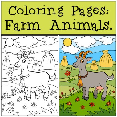 Coloring Pages: Farm Animals. Cute goat stands on the grass in t clipart