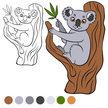 Boyama sayfası. Renk me: koala. Küçük sevimli koala tr oturur