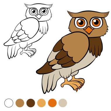 Coloring page. Color me: owl. Little cute owl. clipart