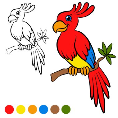 Coloring page. Color me: parront. Little cute parrot sits on the clipart