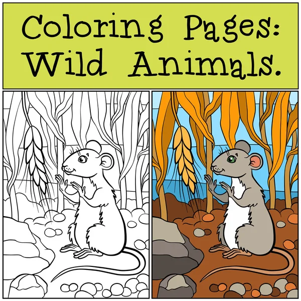 Dibujos para colorear: Animales salvajes. Pequeño ratón lindo mira el whe — Vector de stock