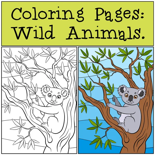 Disegni da colorare: Animali selvatici. Piccolo koala carino siede sull'albero — Vettoriale Stock