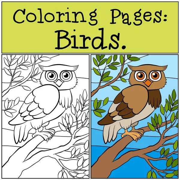 Desenhos para colorir: Pássaros. Pequena coruja bonito senta-se no galho da árvore . — Vetor de Stock