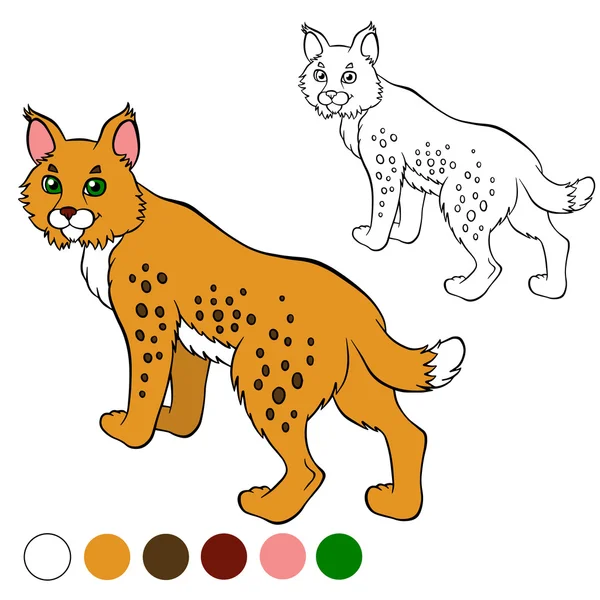 Disegno da colorare. Colorami: lince. carino bella lince stand e sm — Vettoriale Stock