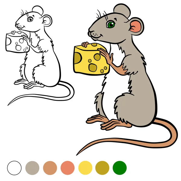 Coloring page. Color me: mouse. Little cute mouse holds a cheese — Stock Vector