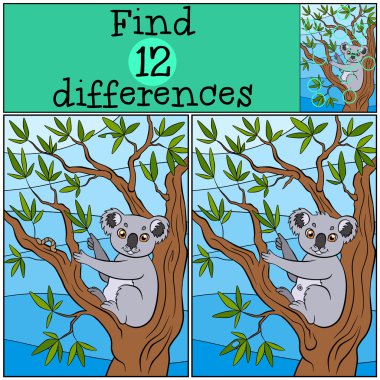 Çocuk Oyunları: bul farklılıklar. Küçük şirin koala oturuyor 
