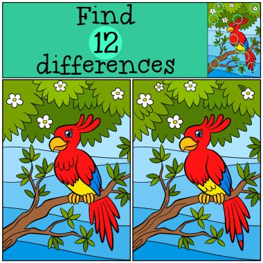 Çocuk Oyunları: bul farklılıklar. Küçük sevimli papağan oturur
