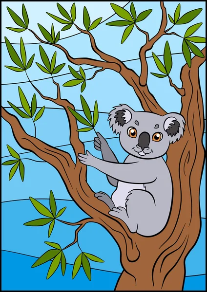 Cartoon wild animals for kids. Cute small koala sits on the tree — Stock Vector