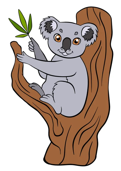 Cartoon wild animals for kids. Cute small koala sits on the tree — Stock Vector