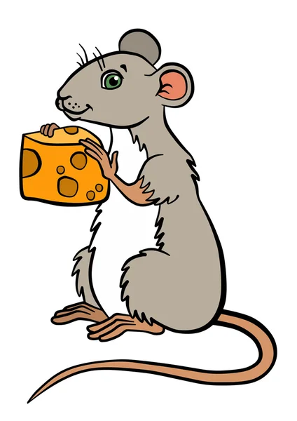 Cartoon wild animals for kids. Little cute mouse holds a cheese — Stock Vector