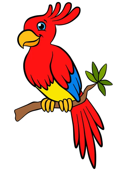 Pájaros de dibujos animados para niños. Pequeño loro lindo se sienta en el salvado del árbol — Vector de stock