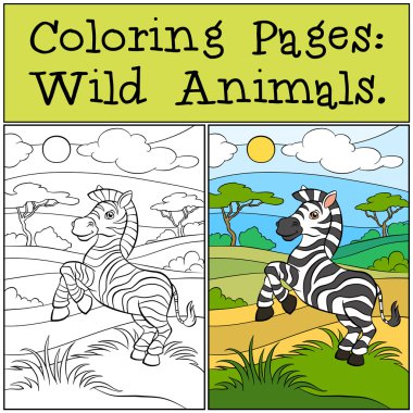 Coloring Pages: Wild Animals. Little cute zebra. clipart