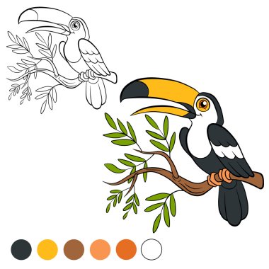 Coloring page. Color me: toucan. clipart