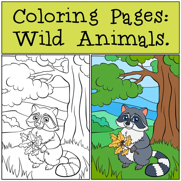 Coloring Pages: Wild Animals. Little cute raccons. — Stock Vector