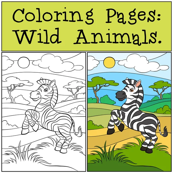 Coloriages : Animaux sauvages. Petit zèbre mignon . — Image vectorielle