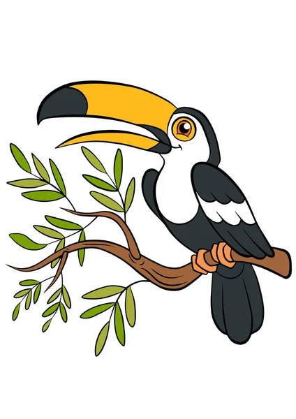 Tecknade fåglar för barn. Lilla söta toucan. — Stock vektor