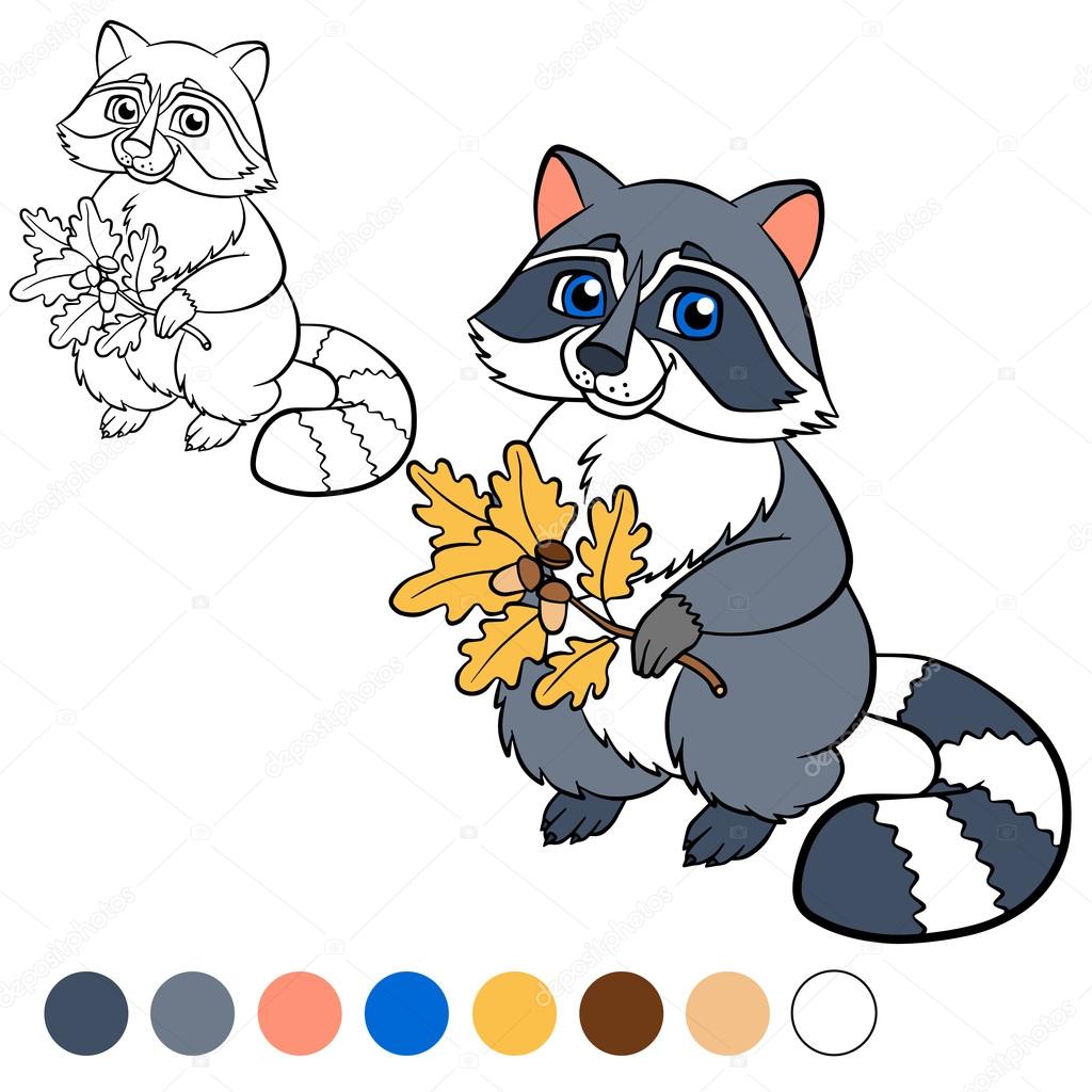 Pagina da colorare Colorilo procione — Vettoriale Stock