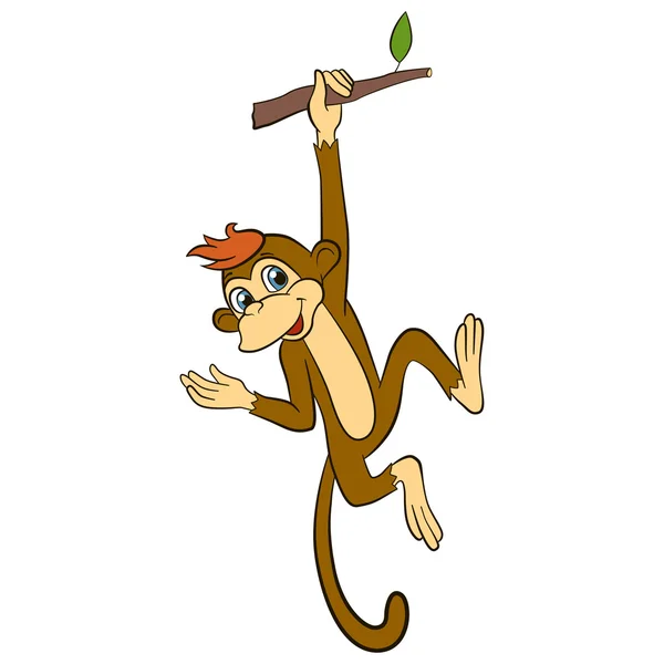 Desenhos animados wils animais para crianças. Pequeno macaco bonito pendura no l —  Vetores de Stock