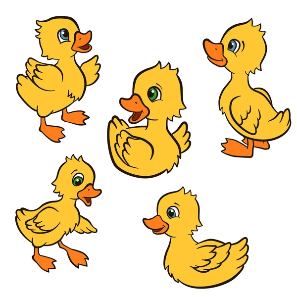 Pájaros de dibujos animados para niños. Pequeños patitos lindos jugar y sonreír . — Vector de stock