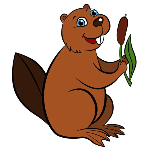 Cartoon dzikie zwierzęta dla dzieci. Mały uroczy bobra trzyma trzciny i — Wektor stockowy