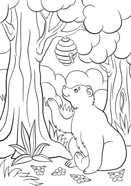 Boyama sayfaları. Vahşi hayvanlar. Sevimli ayı kovan görünüyor.
