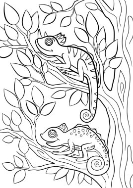 Boyama sayfaları. Vahşi hayvanlar. İki küçük şirin bukalemun.