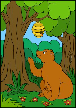 Çocuklar için karikatür hayvanlar. Sevimli kahverengi ayı arı kovanına bakar.