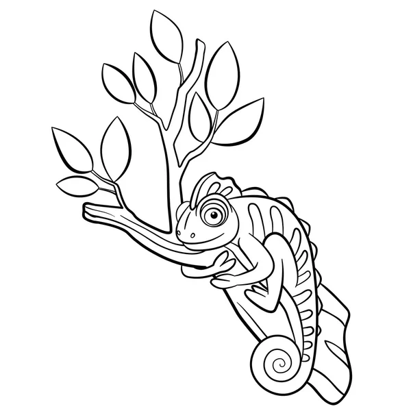 Coloring pages. Wild animals. Little cute chameleon sits on the — Stock Vector