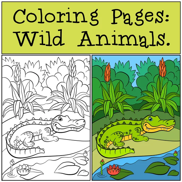 Coloriages : Animaux sauvages. Petit alligator mignon . — Image vectorielle