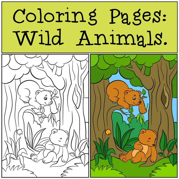 Coloriages : Animaux sauvages. Deux petits bébés ours mignons . — Image vectorielle
