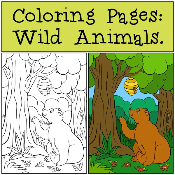 Dibujos para colorear: Animales salvajes. Lindo oso mira a la colmena . — Vector de stock