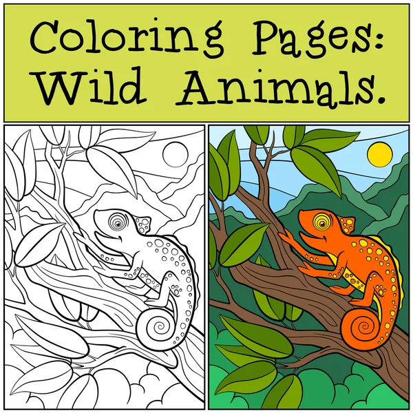 Dibujos para colorear: Animales salvajes. Pequeño camaleón naranja lindo se sienta — Vector de stock